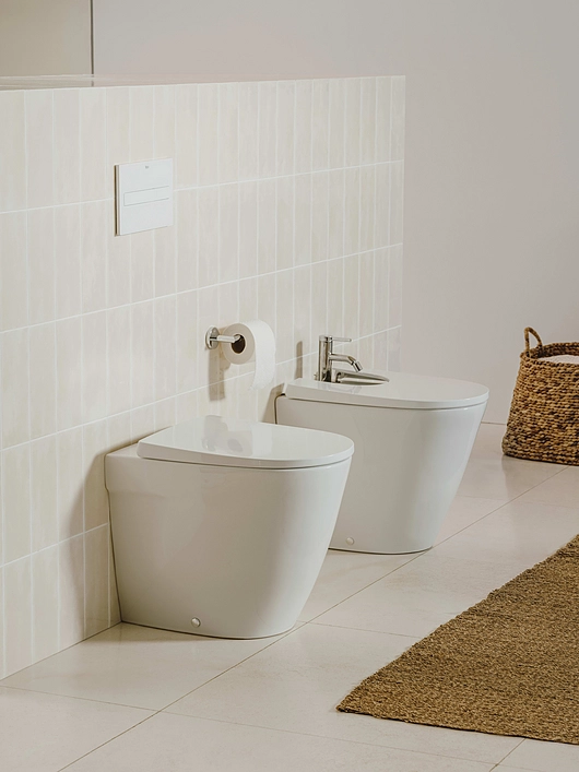 Toilet Single Floor-standing Back to Wall