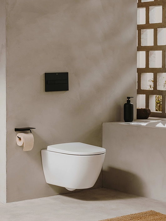 Toilet Wall-Hung-Romless