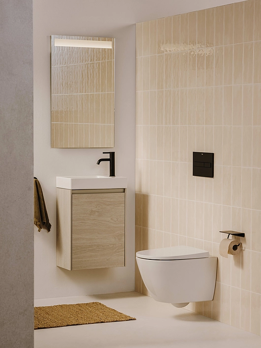 Toilet Wall-Hung-Romless