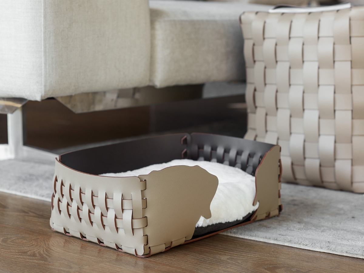 Pet Furnishings at a Contemporary Apartment