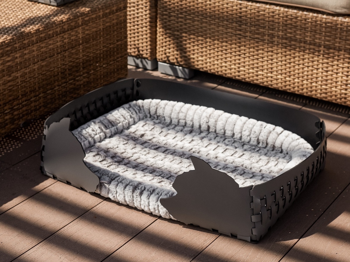 Pet Furnishings at a Contemporary Apartment