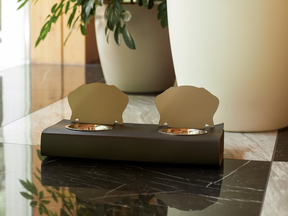 Pet Furnishings at a Contemporary Apartment