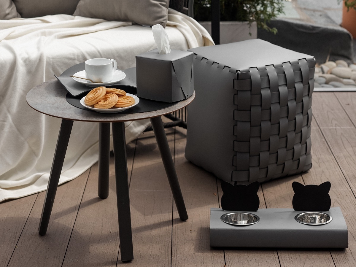 Pet Furnishings at a Contemporary Apartment