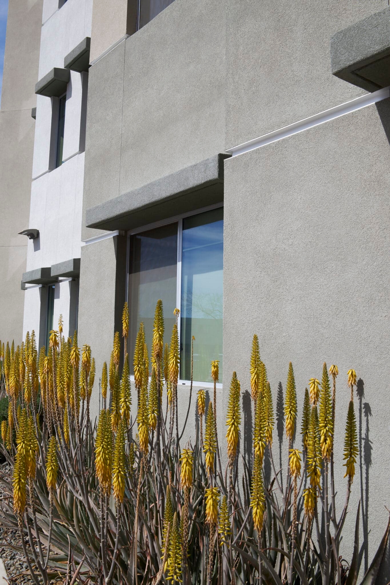 Plaster Trims on The District Apartments