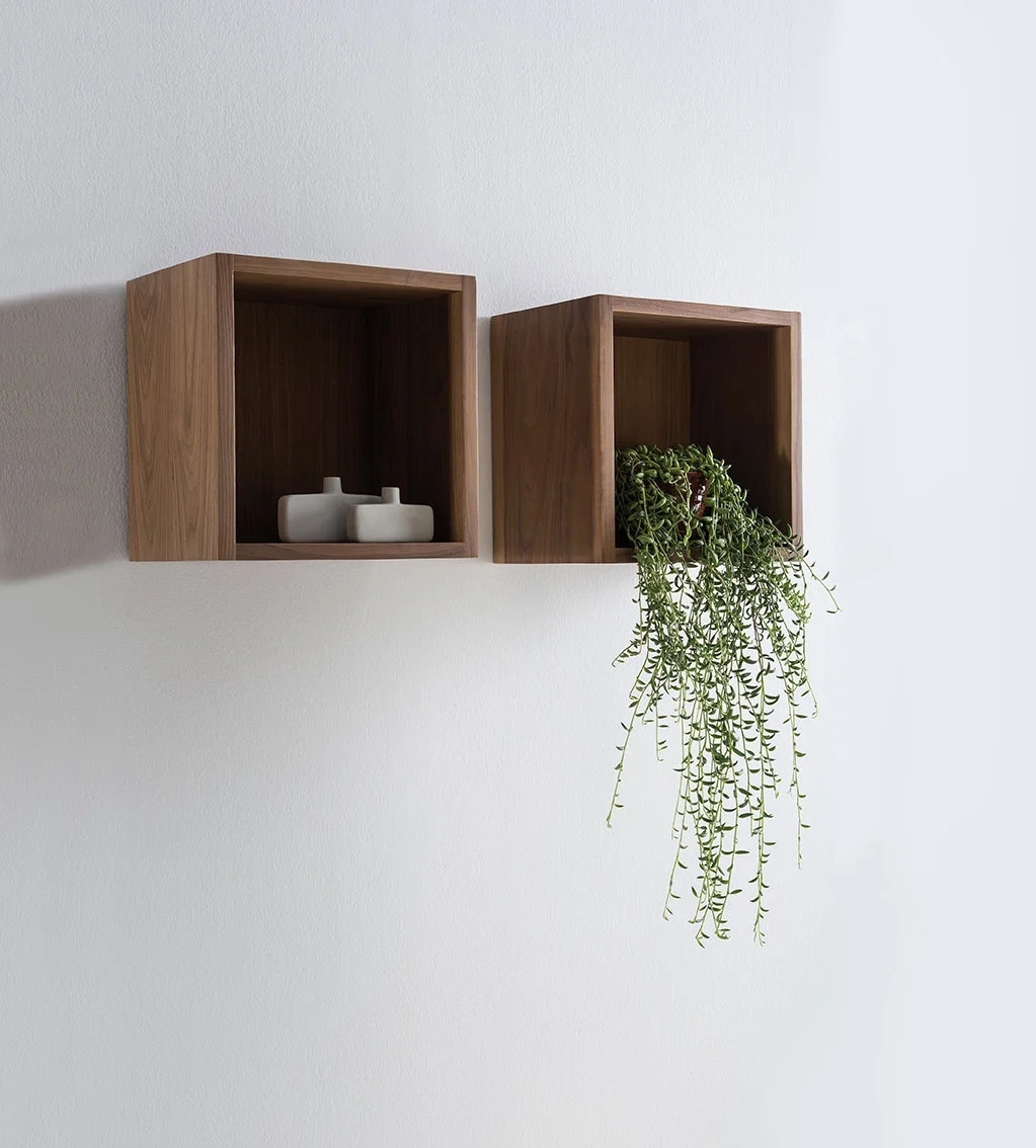 Shelf Module - Lacquered