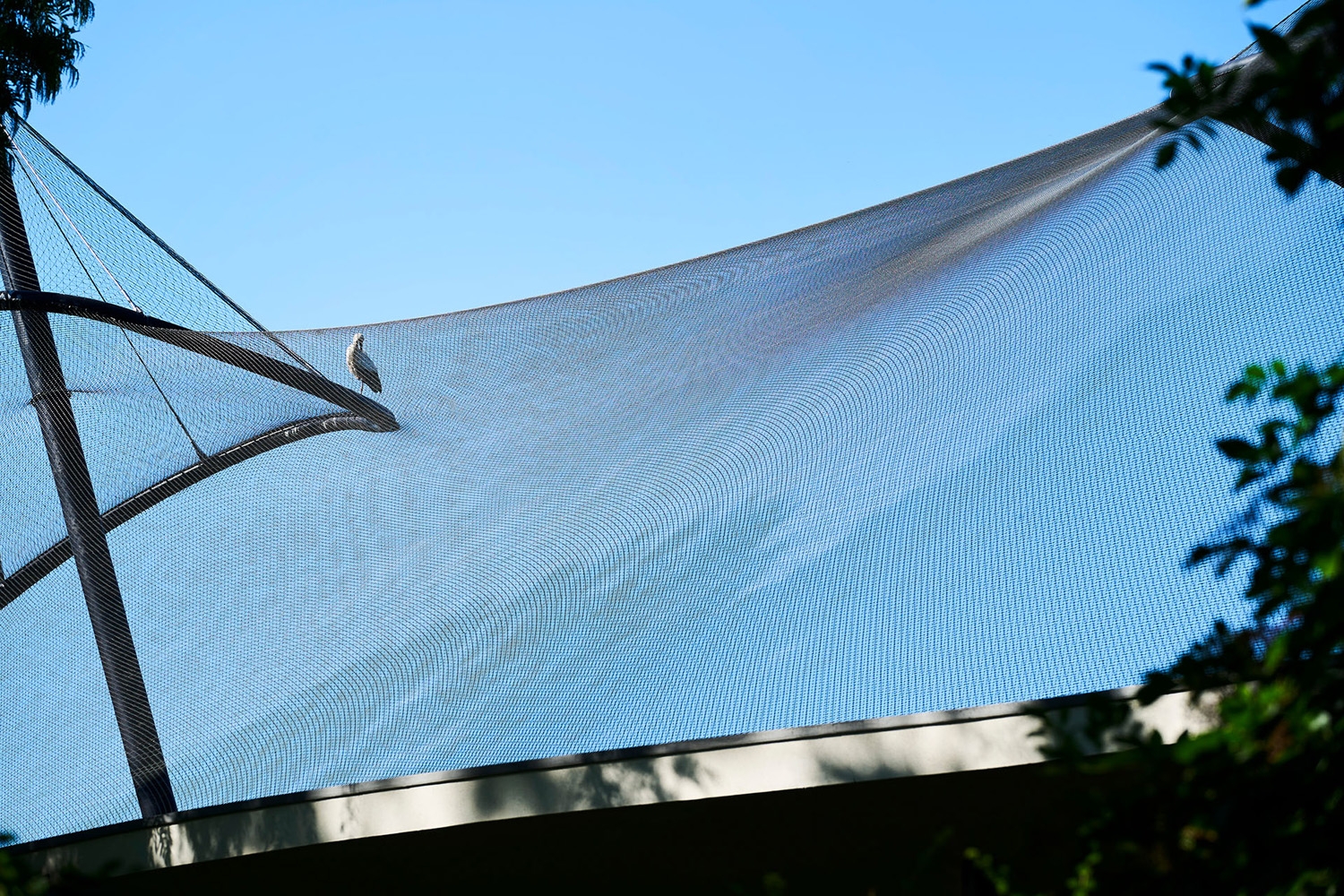 Webnet Micro in Luisenpark Aviary Renovation