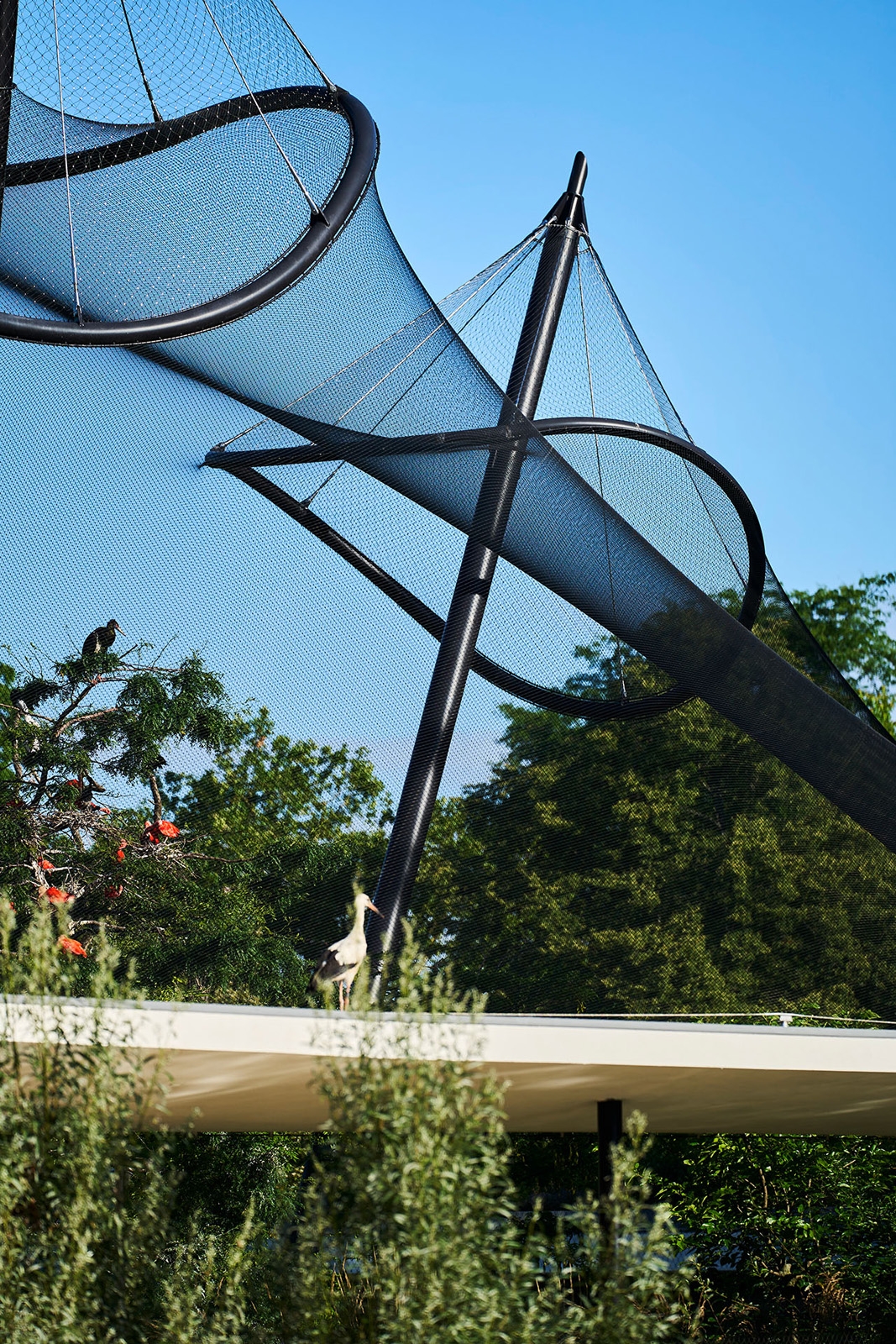 Webnet Micro in Luisenpark Aviary Renovation