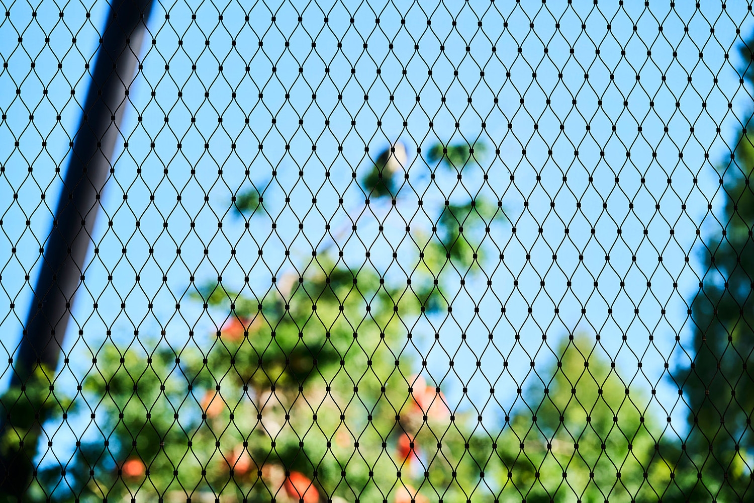 Webnet Micro in Luisenpark Aviary Renovation