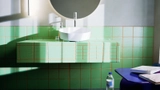 Dish Basin - Tendo