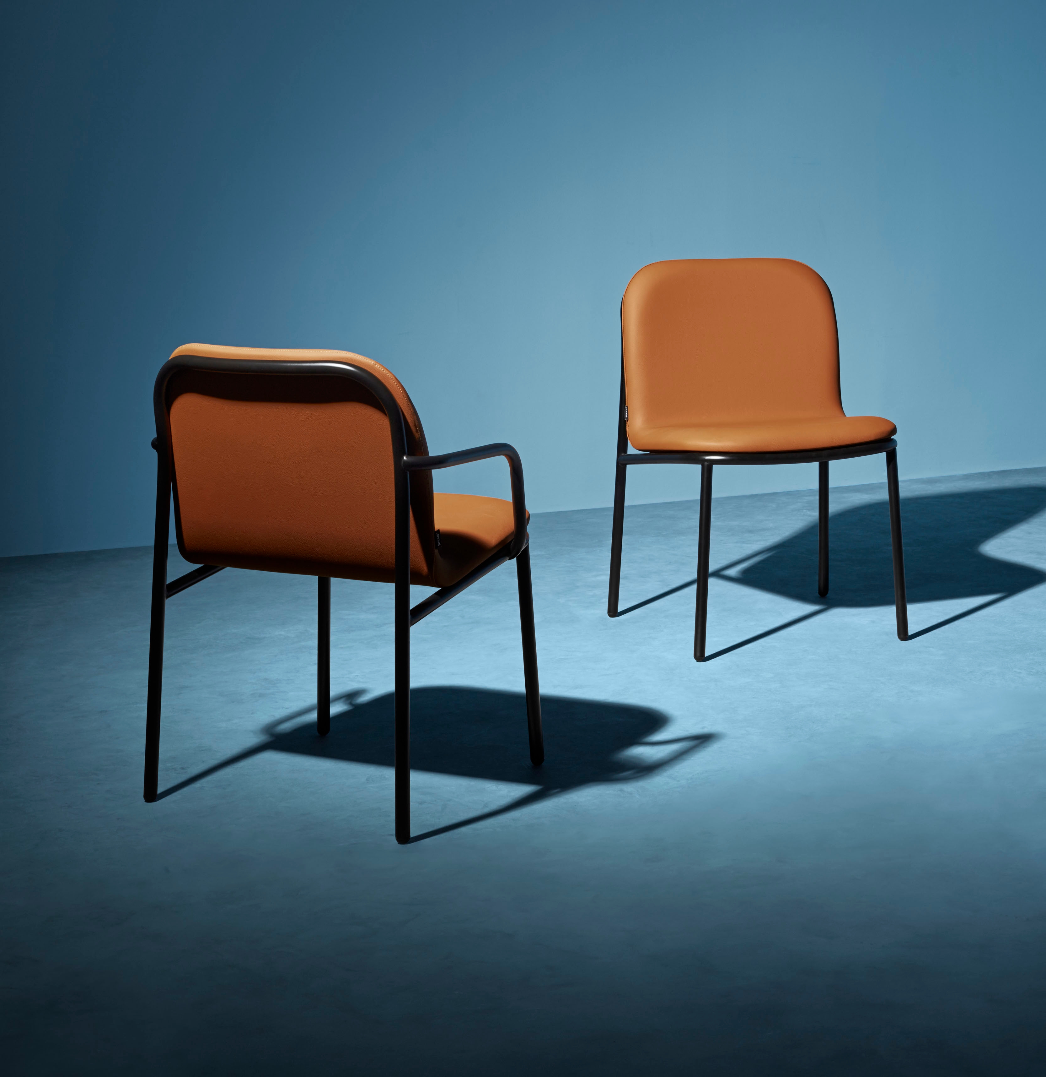 Lounge Chair | SHELL