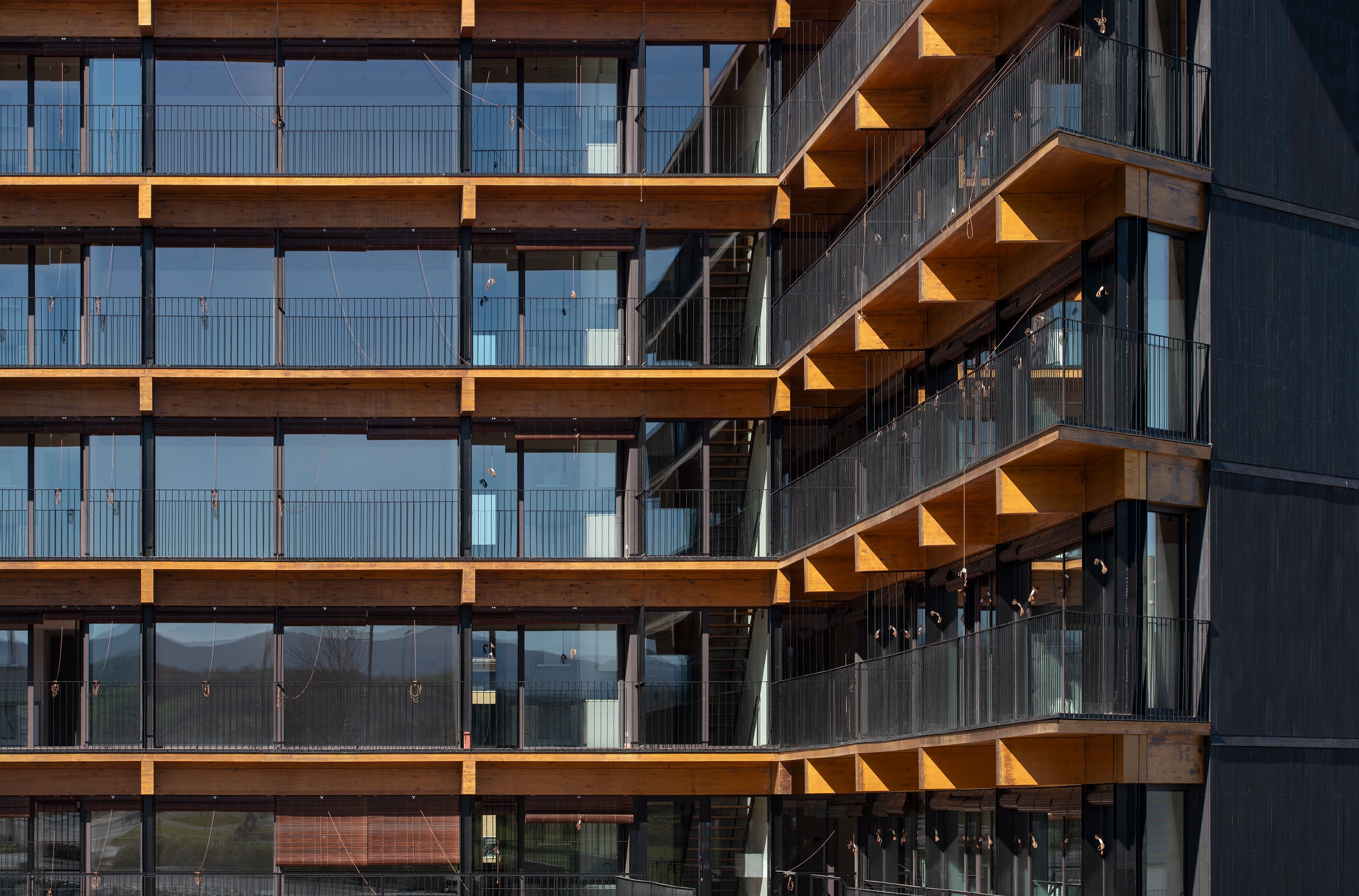 Cross Laminated Timber - CLT