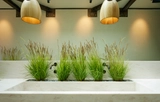 Sink & Faucet at LACUNA