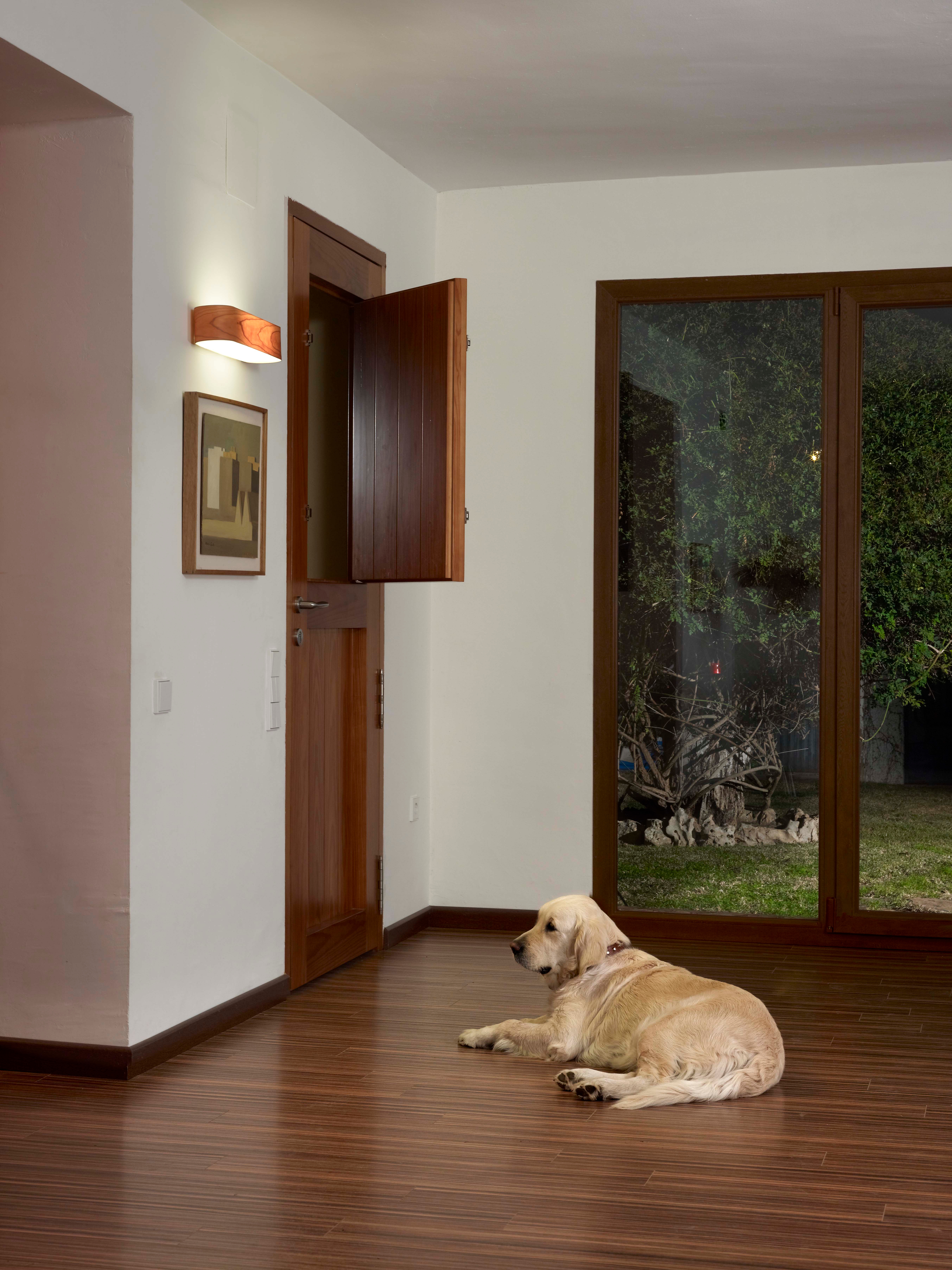 Interior Lighting | I-club