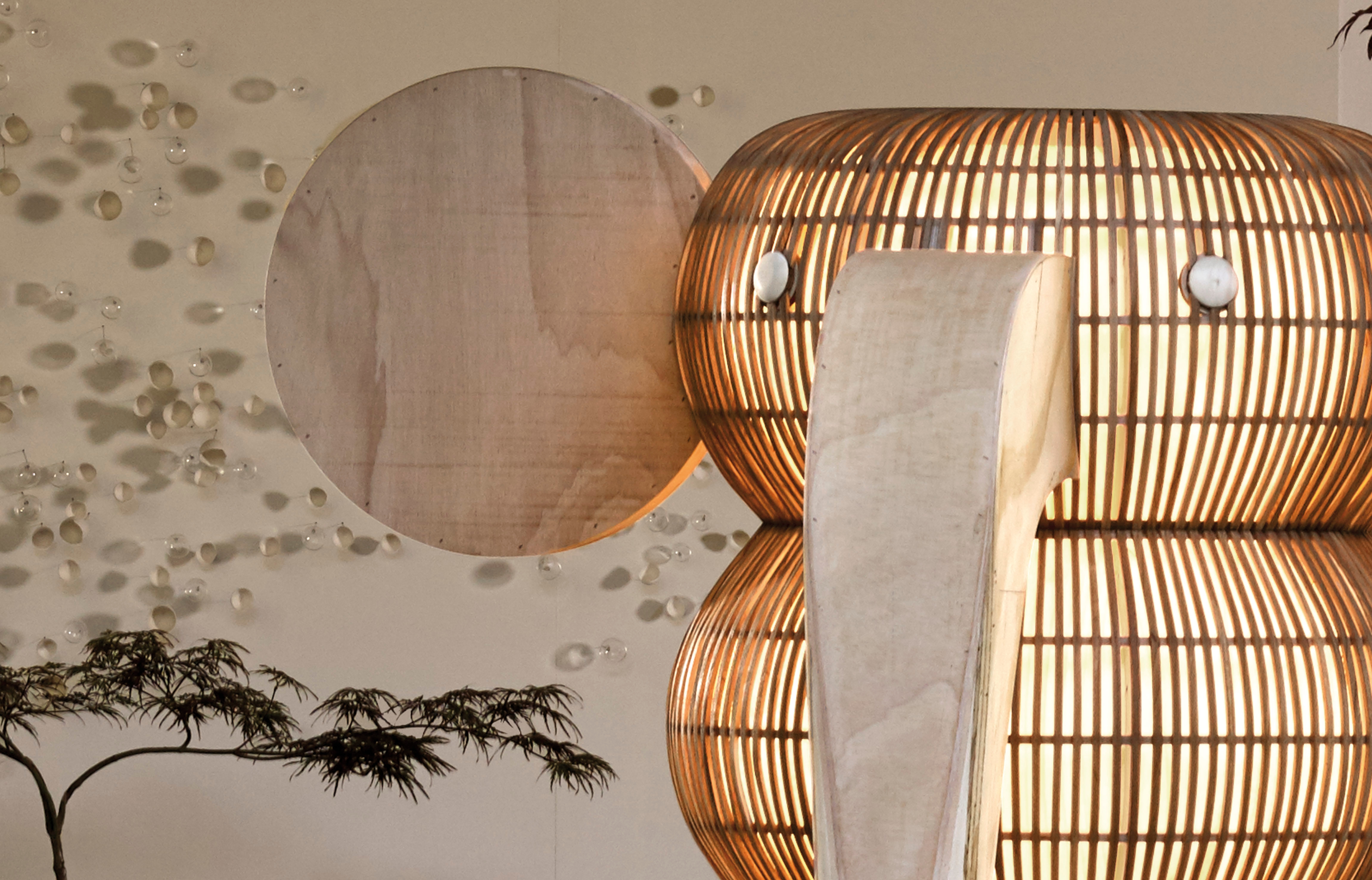 Light Intervention in Casavells