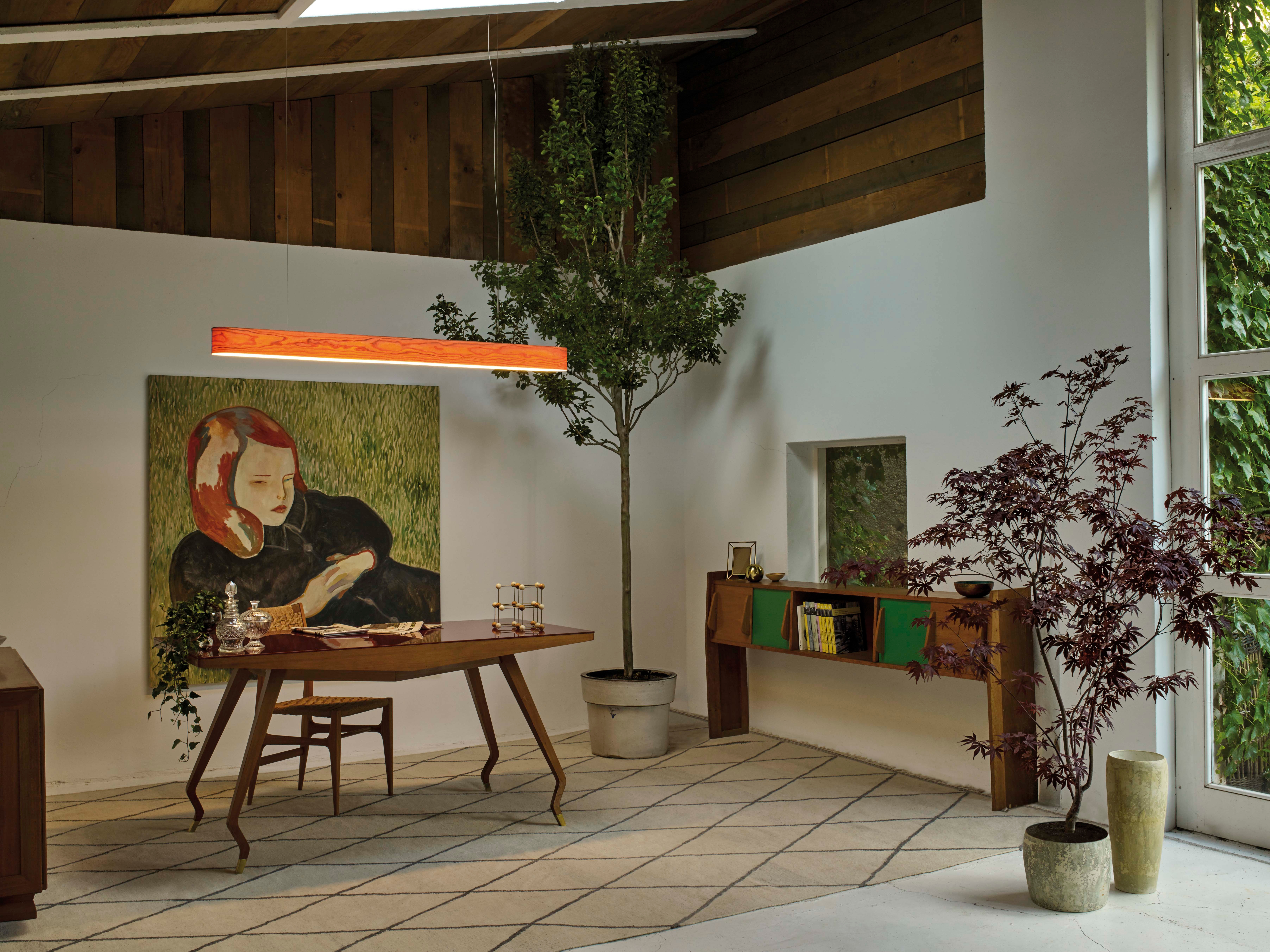 Light Intervention in Casavells