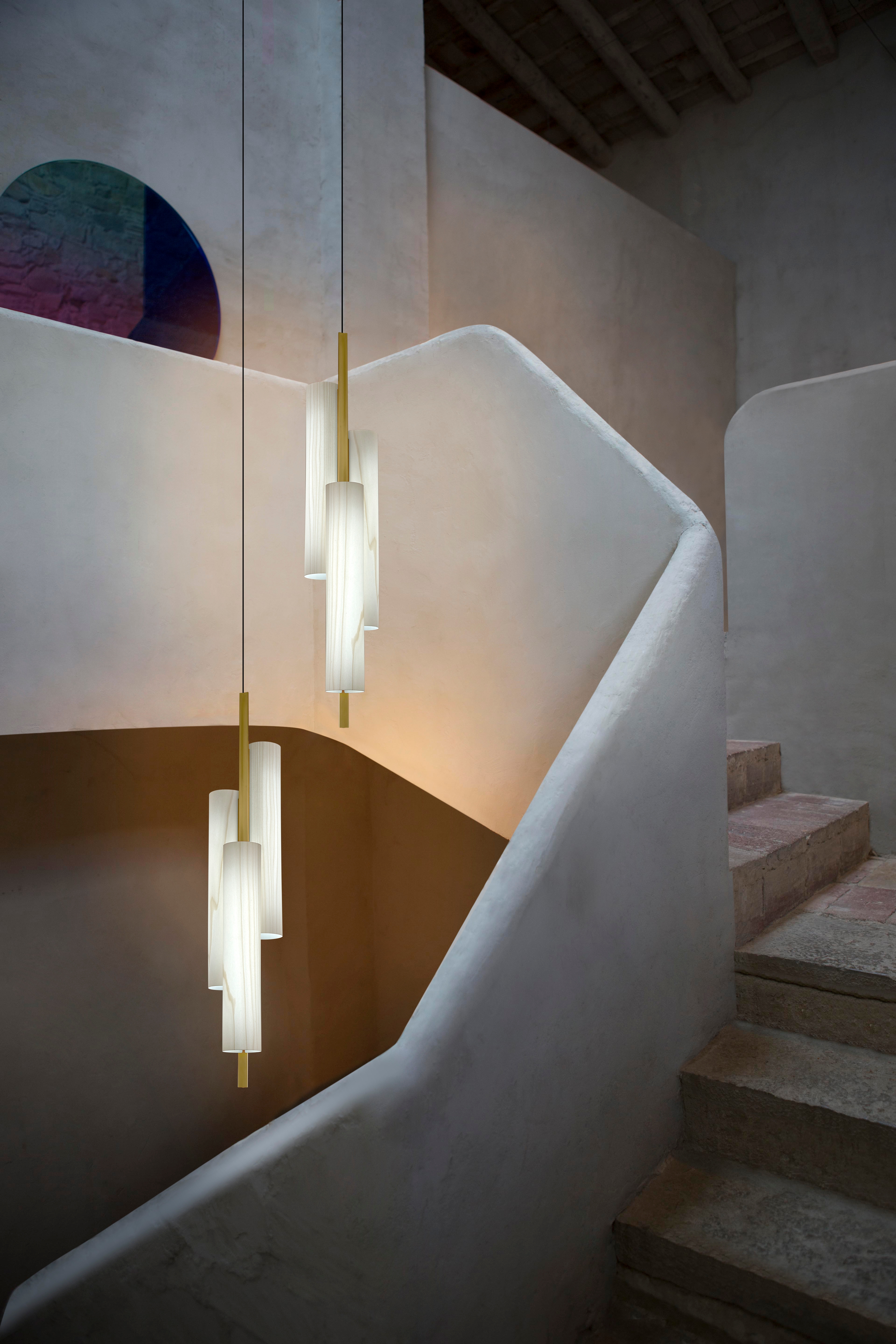 Light Intervention in Casavells