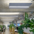 Lighting in Francl Architecture Headquarters