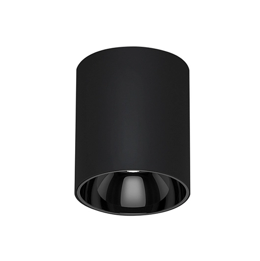 CARINA outdoor ceiling lamp 20W