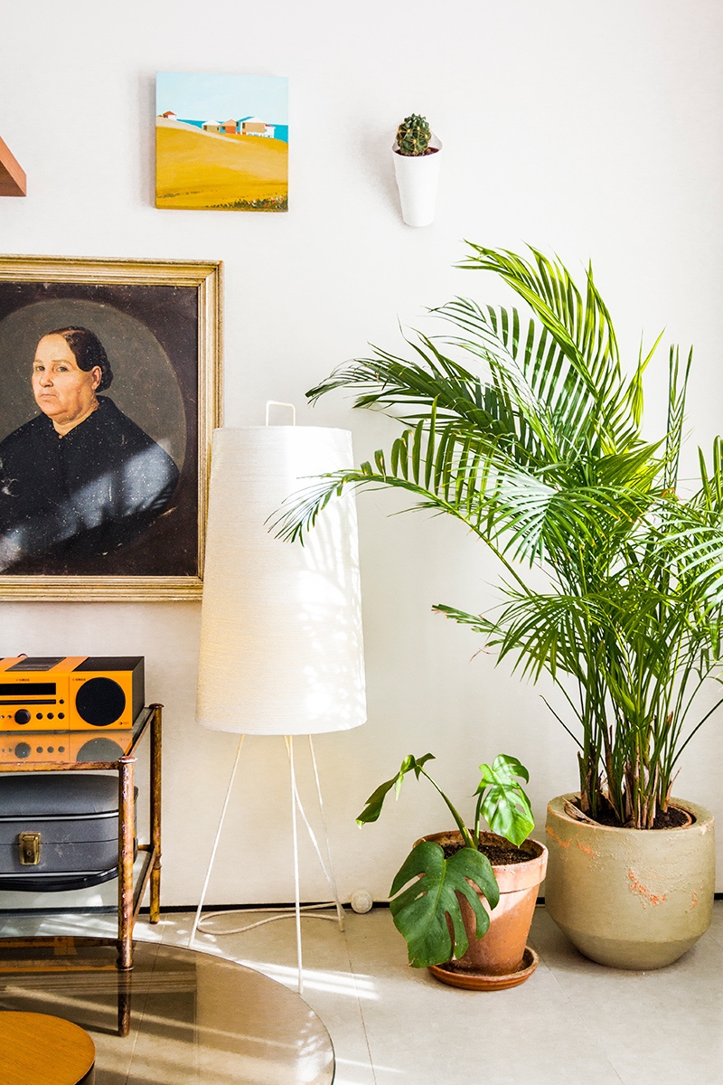 Lighting Fixtures - Tali