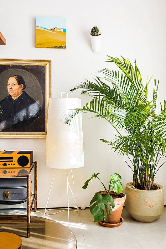 Tali Lighting Fixtures