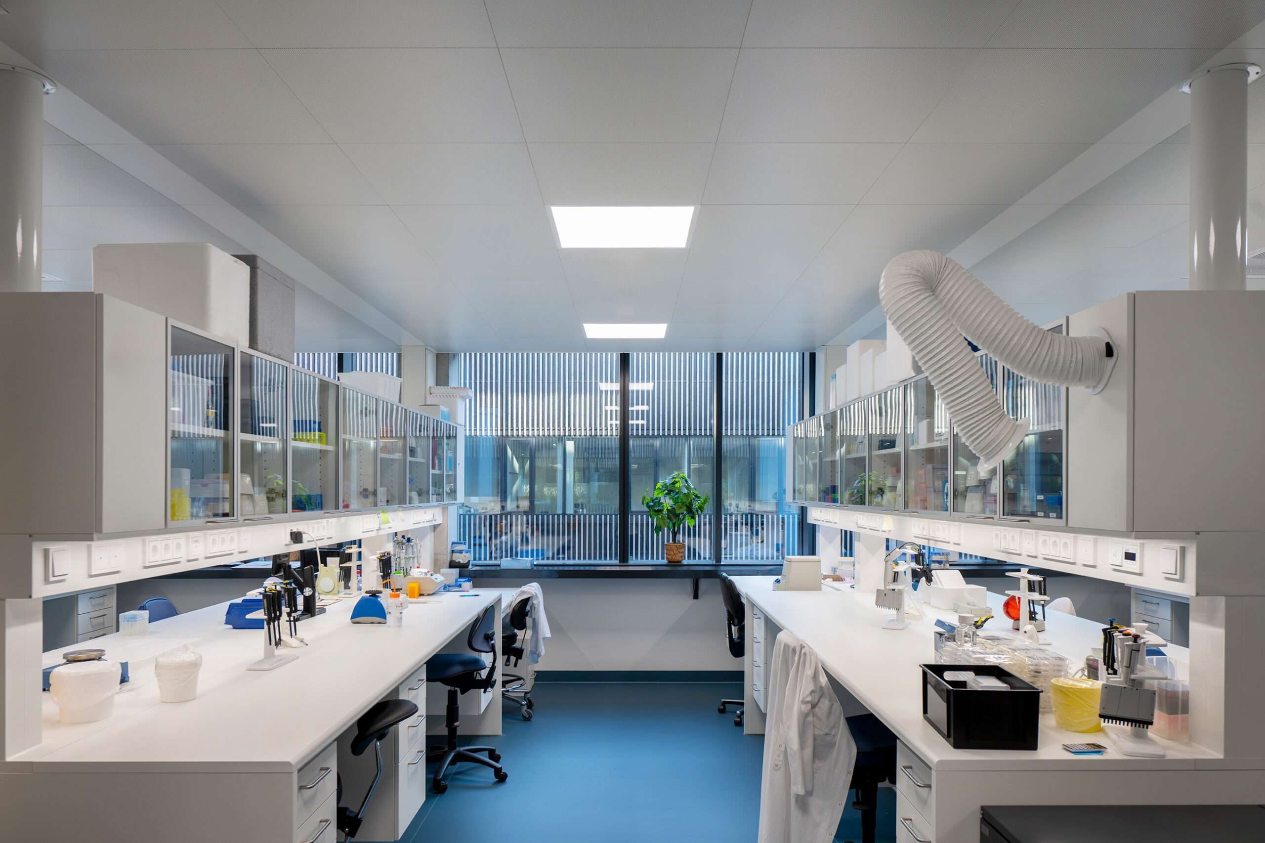 How to Create a Healthy Indoor Climate in Schools