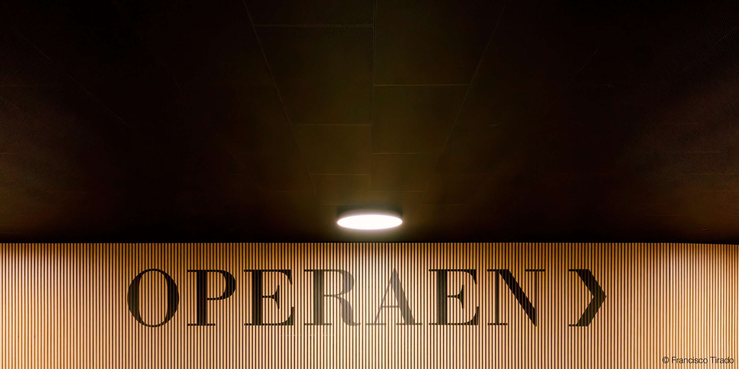 Black Custom Ceiling Tiles for Opera Park