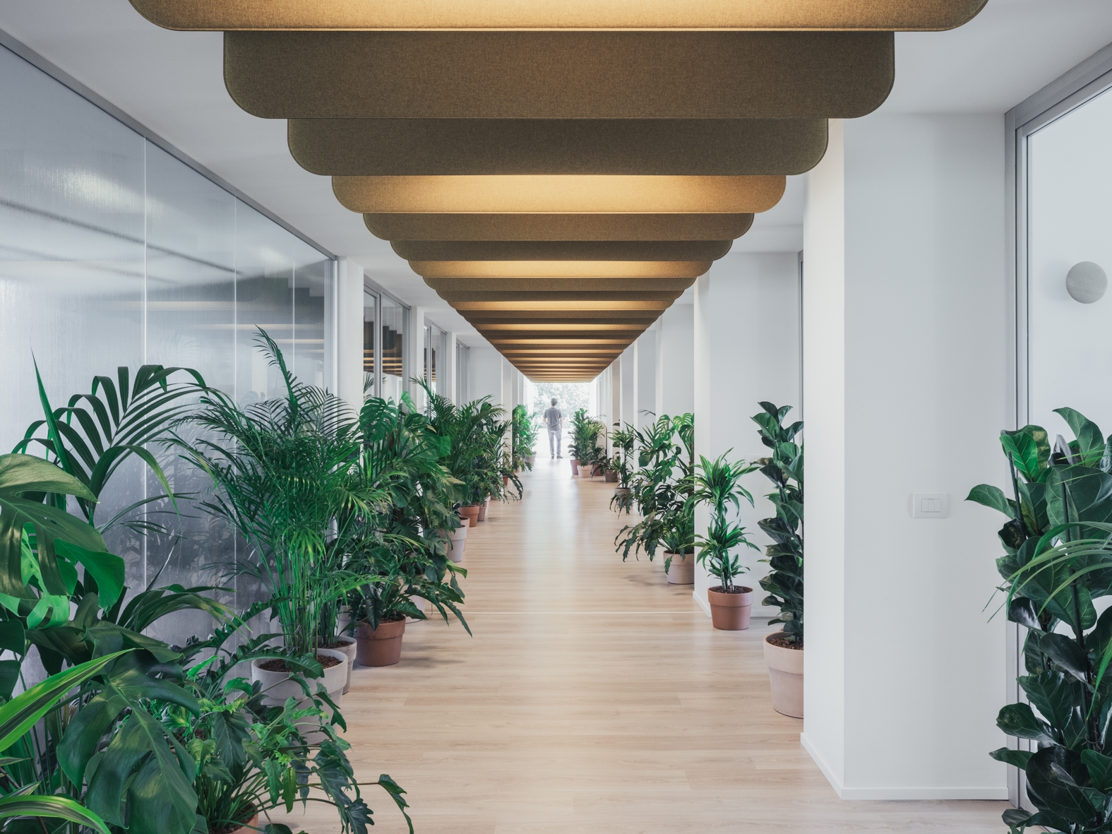 Suspended Acoustic Panel - Kayak