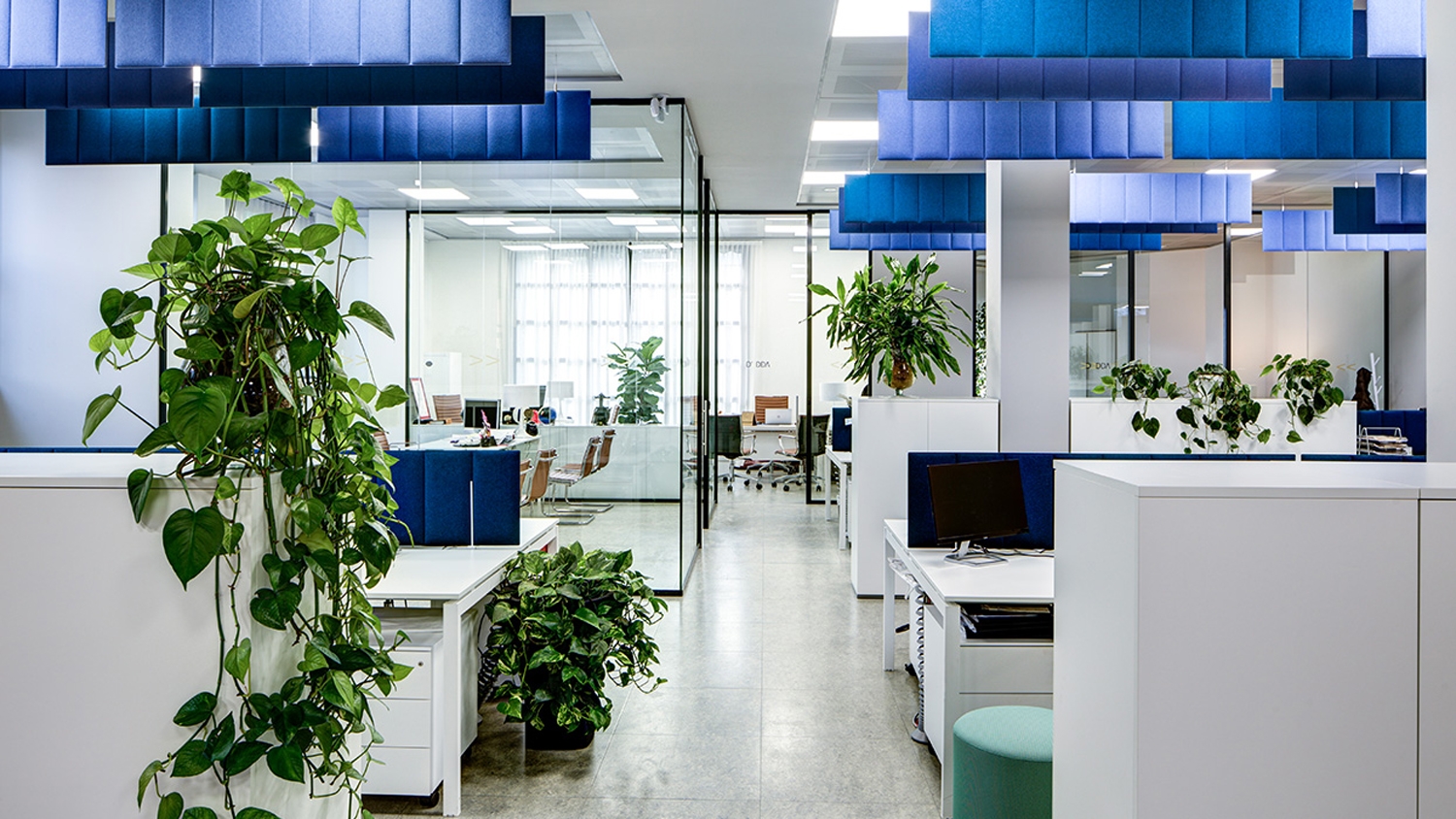 Thermoformed Desk Acoustic Panel - ECOdesk