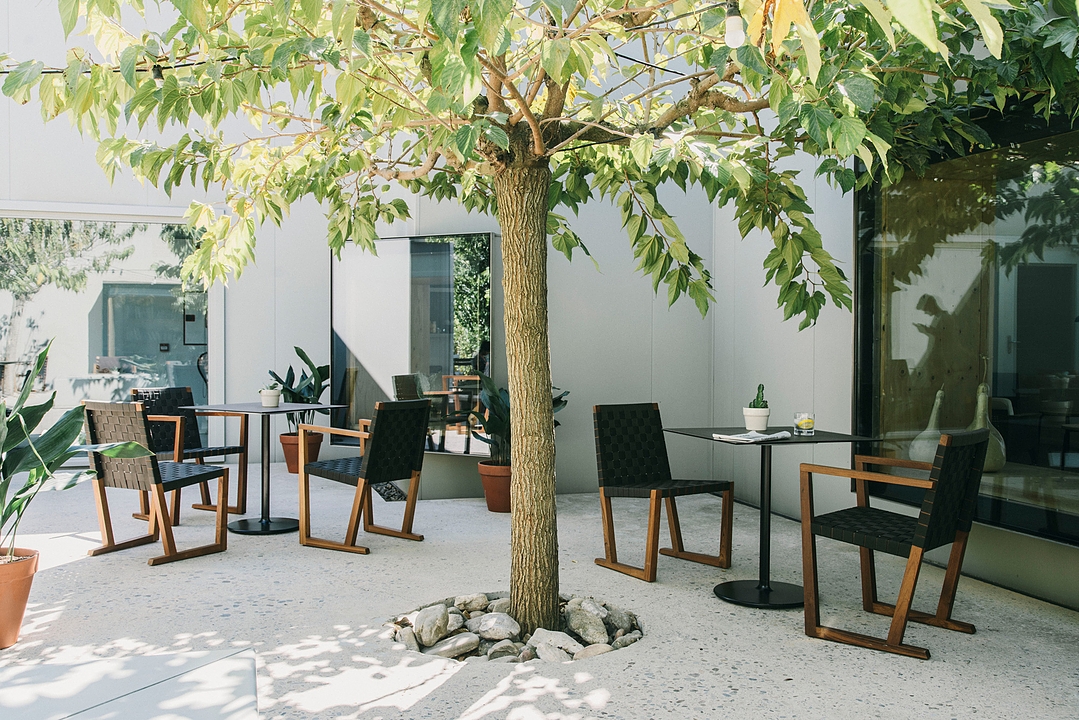 Outdoor Lounge Chairs