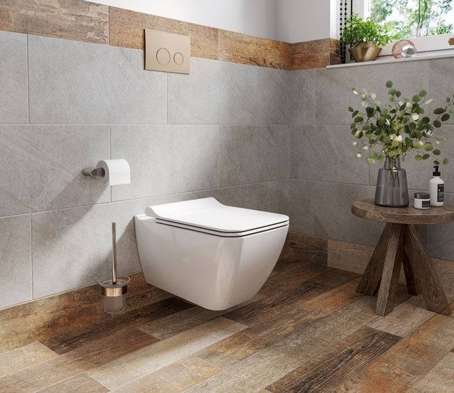 Wall Hung Toilet Set