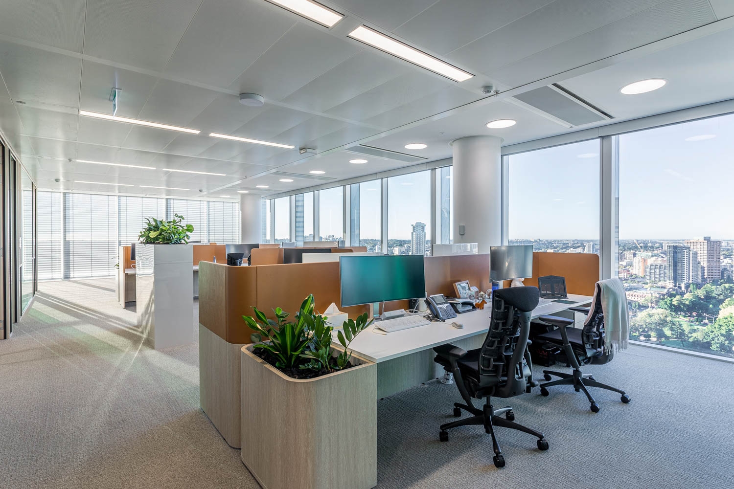 Venetian Blinds in Sixty Martin Place