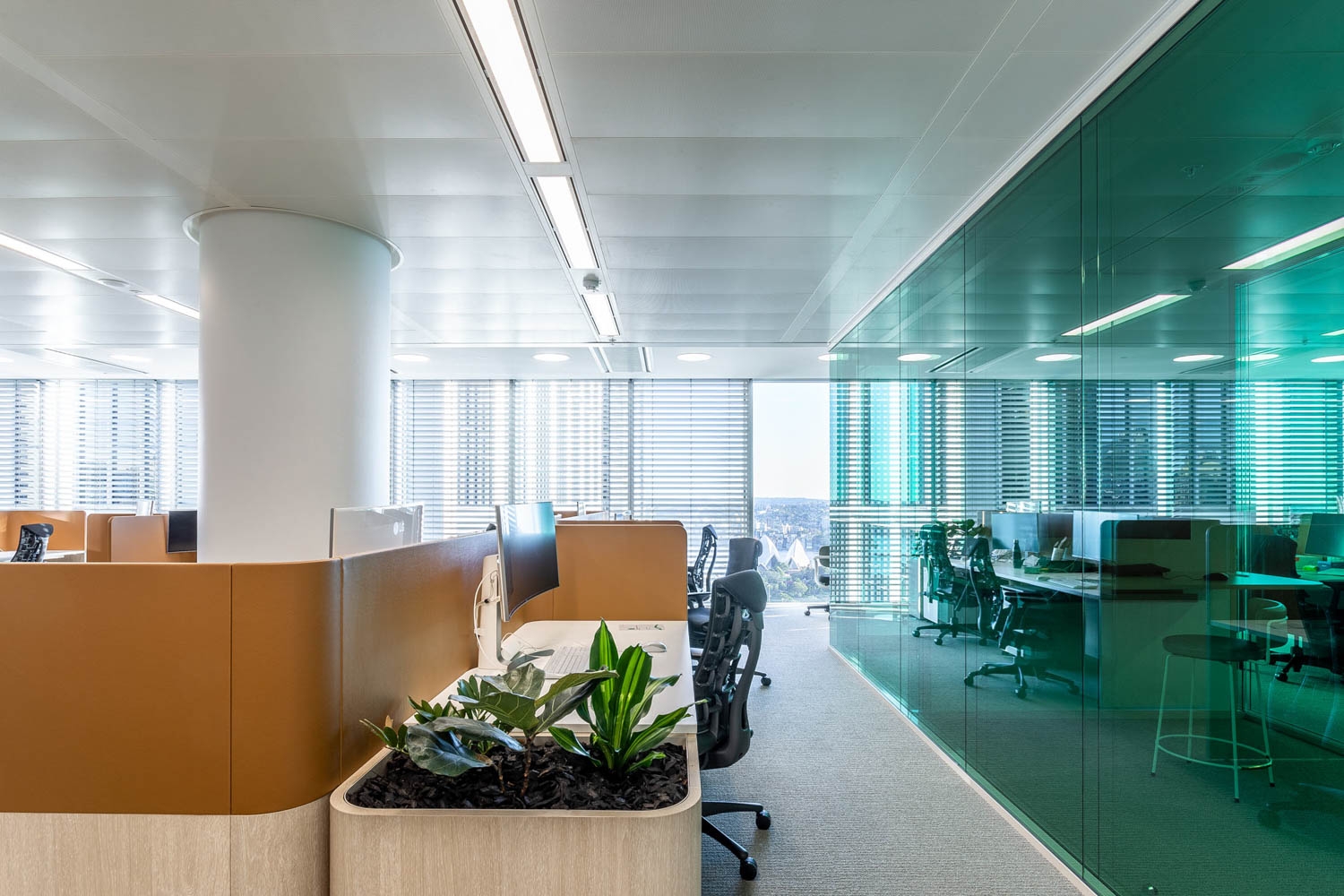 Venetian Blinds in Sixty Martin Place