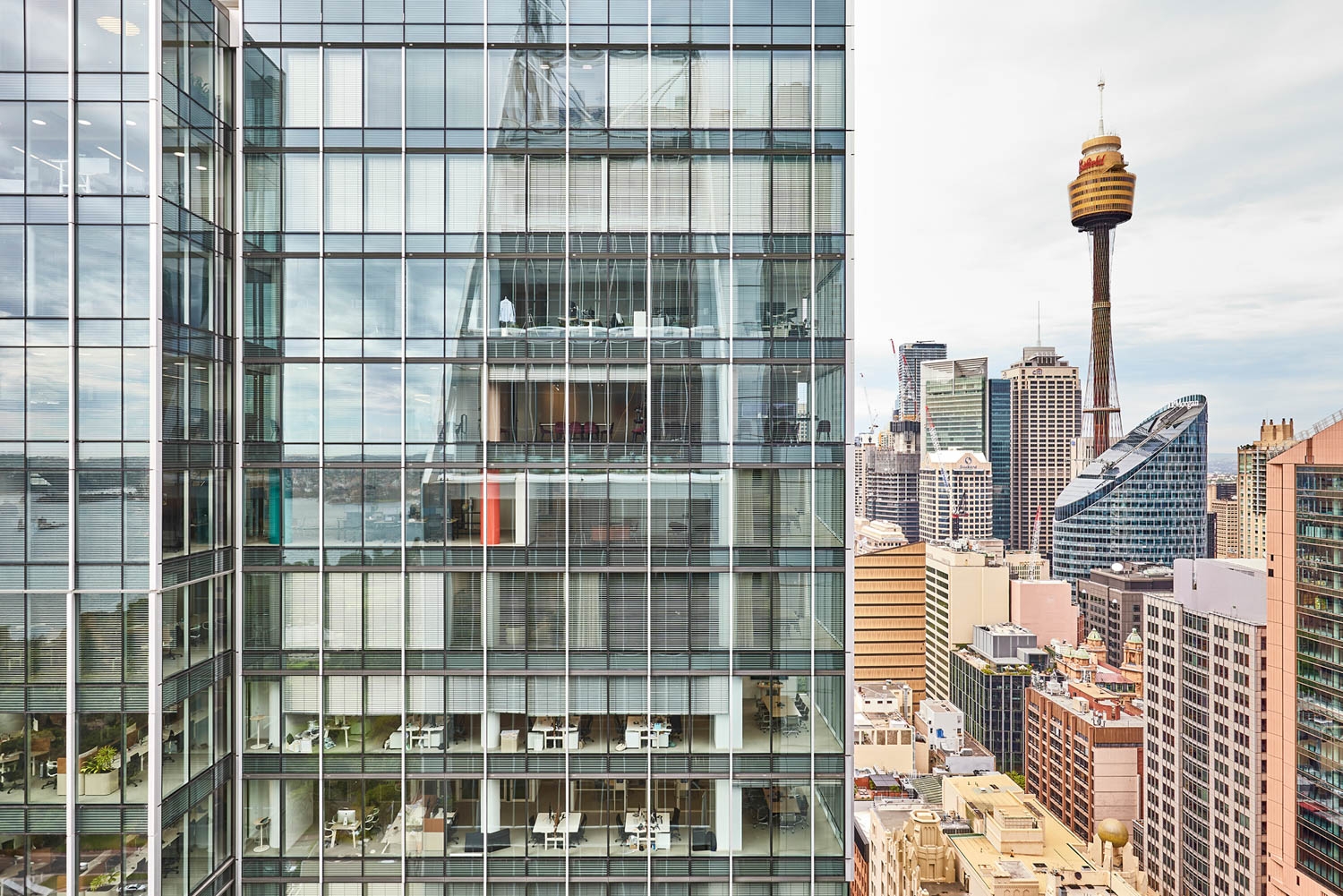 Venetian Blinds in Sixty Martin Place