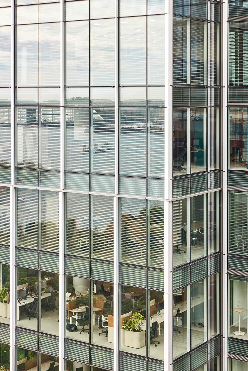 Venetian Blinds in Sixty Martin Place