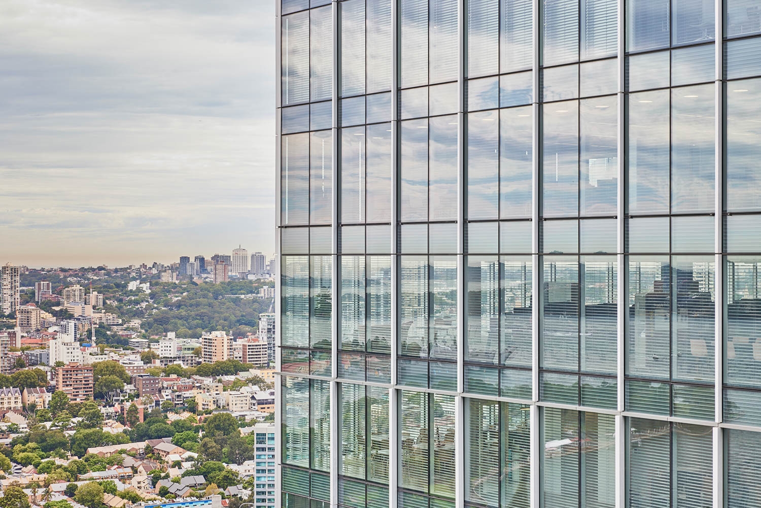 Venetian Blinds in Sixty Martin Place