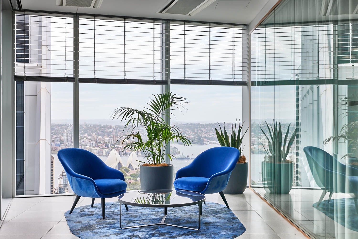 Venetian Blinds in Sixty Martin Place