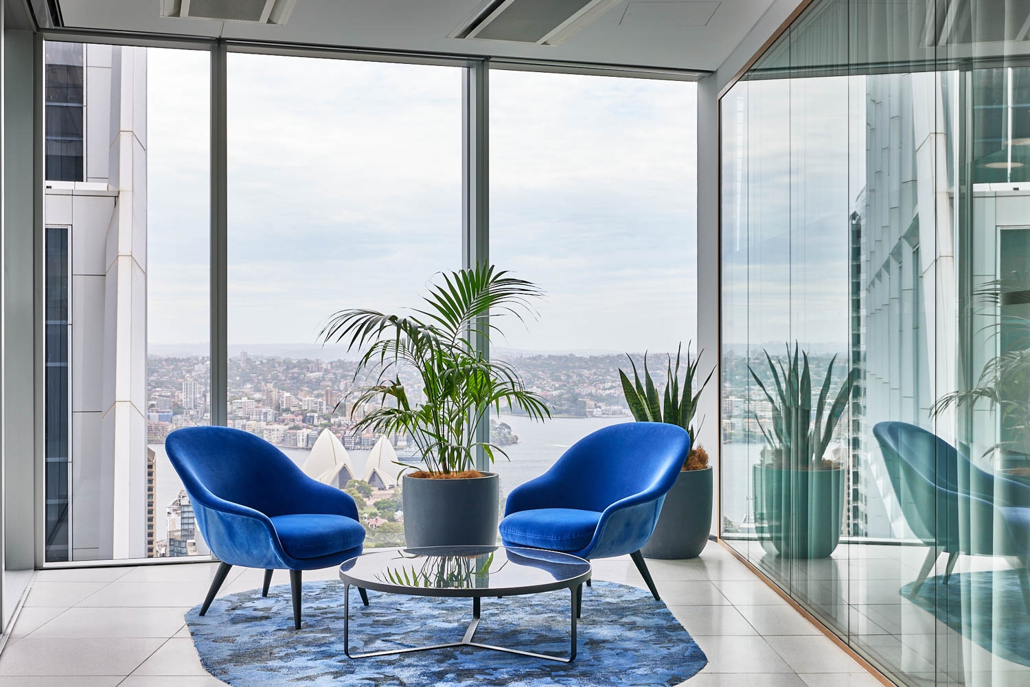 Venetian Blinds in Sixty Martin Place