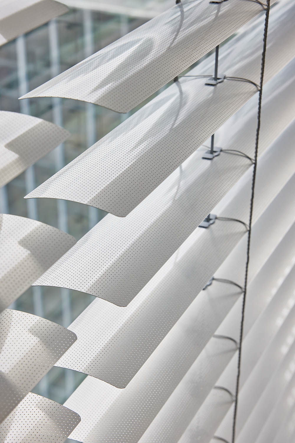 Venetian Blinds in Sixty Martin Place