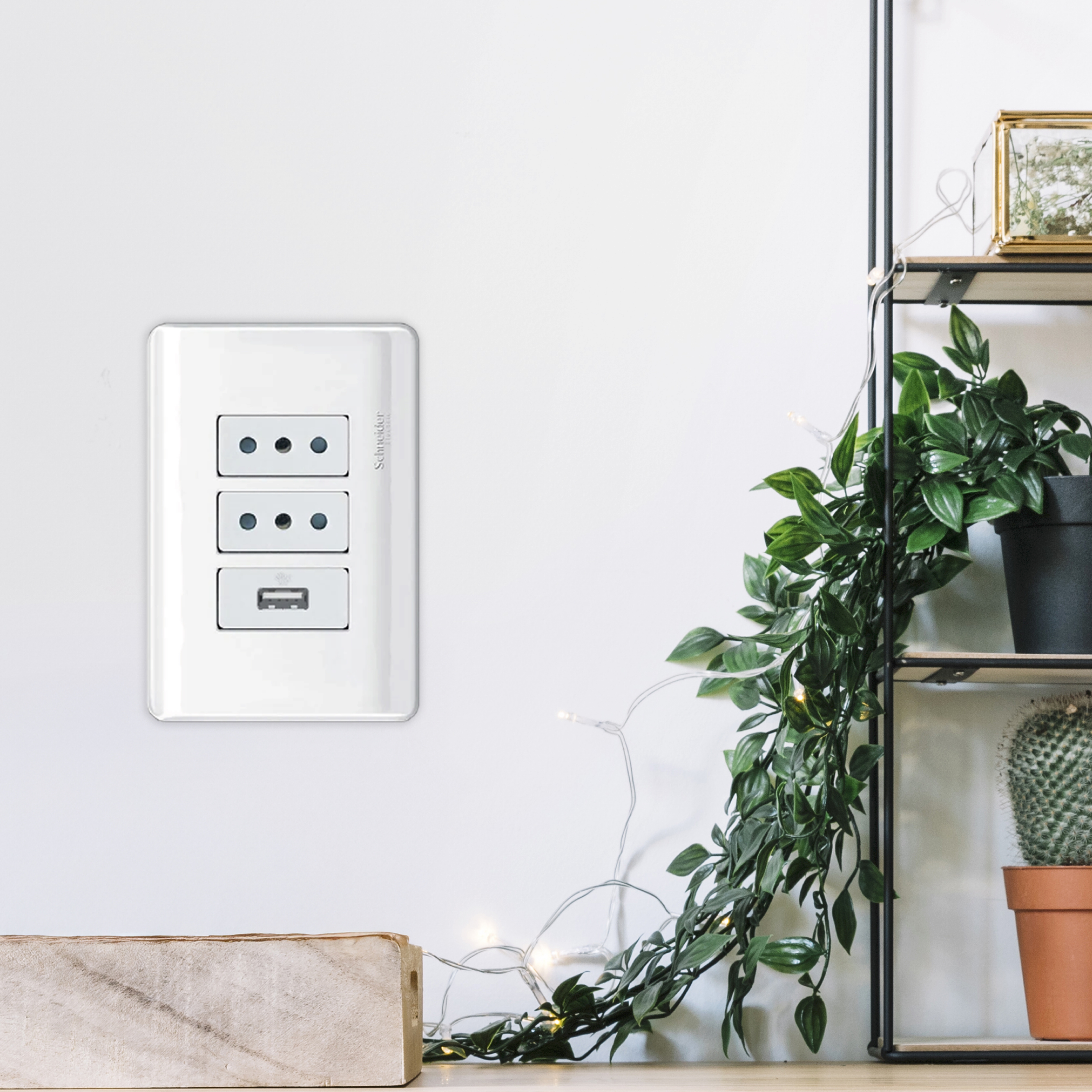 Placas armadas - Génesis