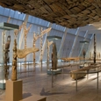 Display Cases at The Metropolitan Museum of Art