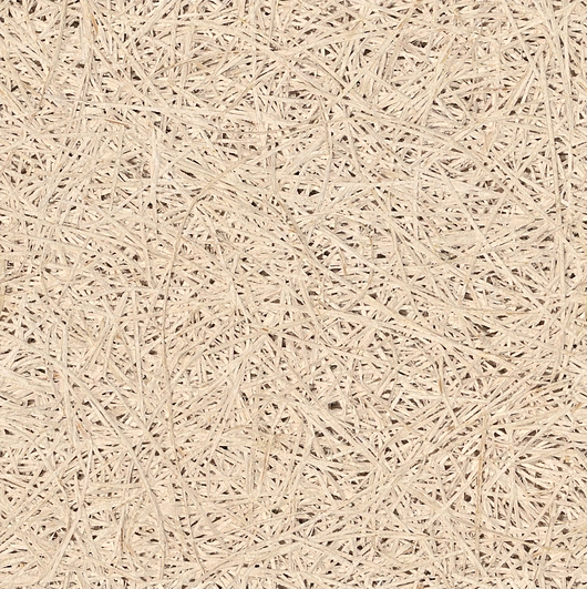 Primed Clear - Detail