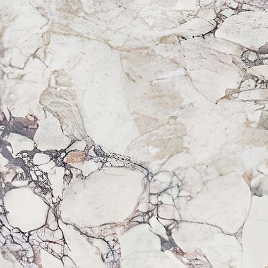 Calcatta Viola Polished