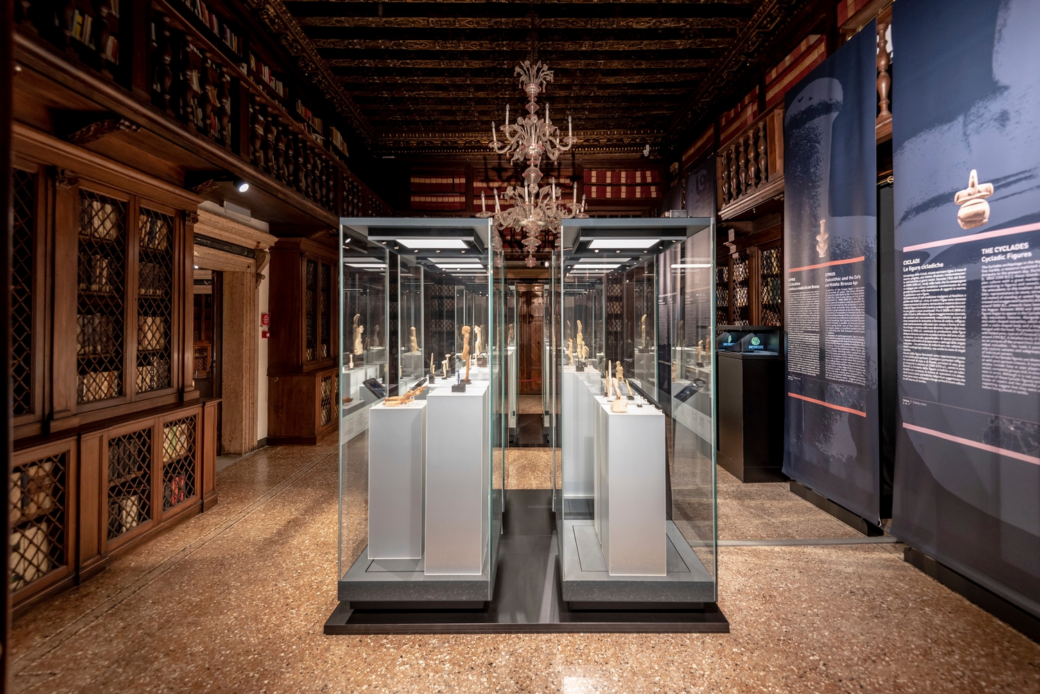 Display Case - Qd-Class