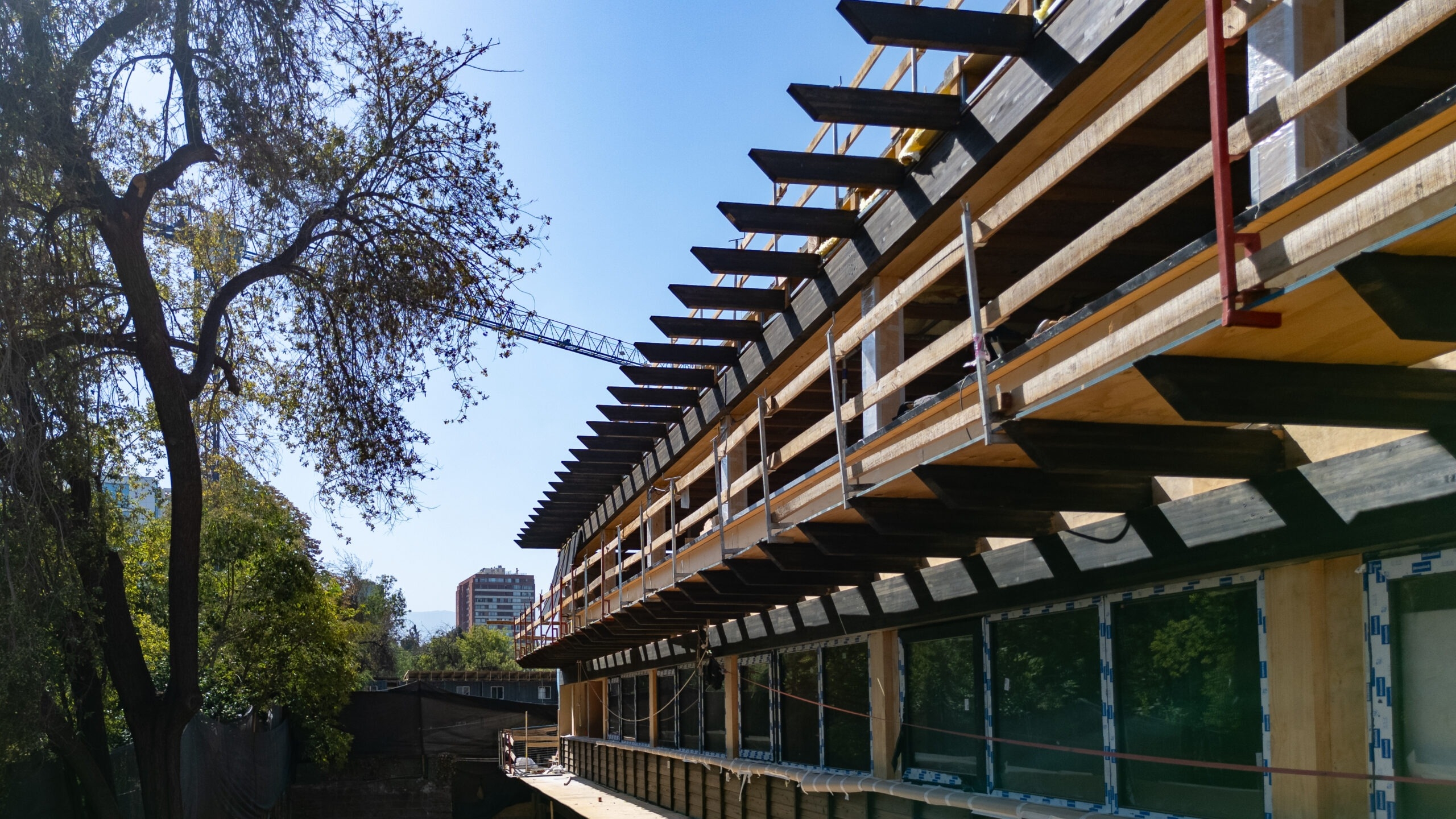 Madera CLT y MLE en Edificio Burgos Net Zero