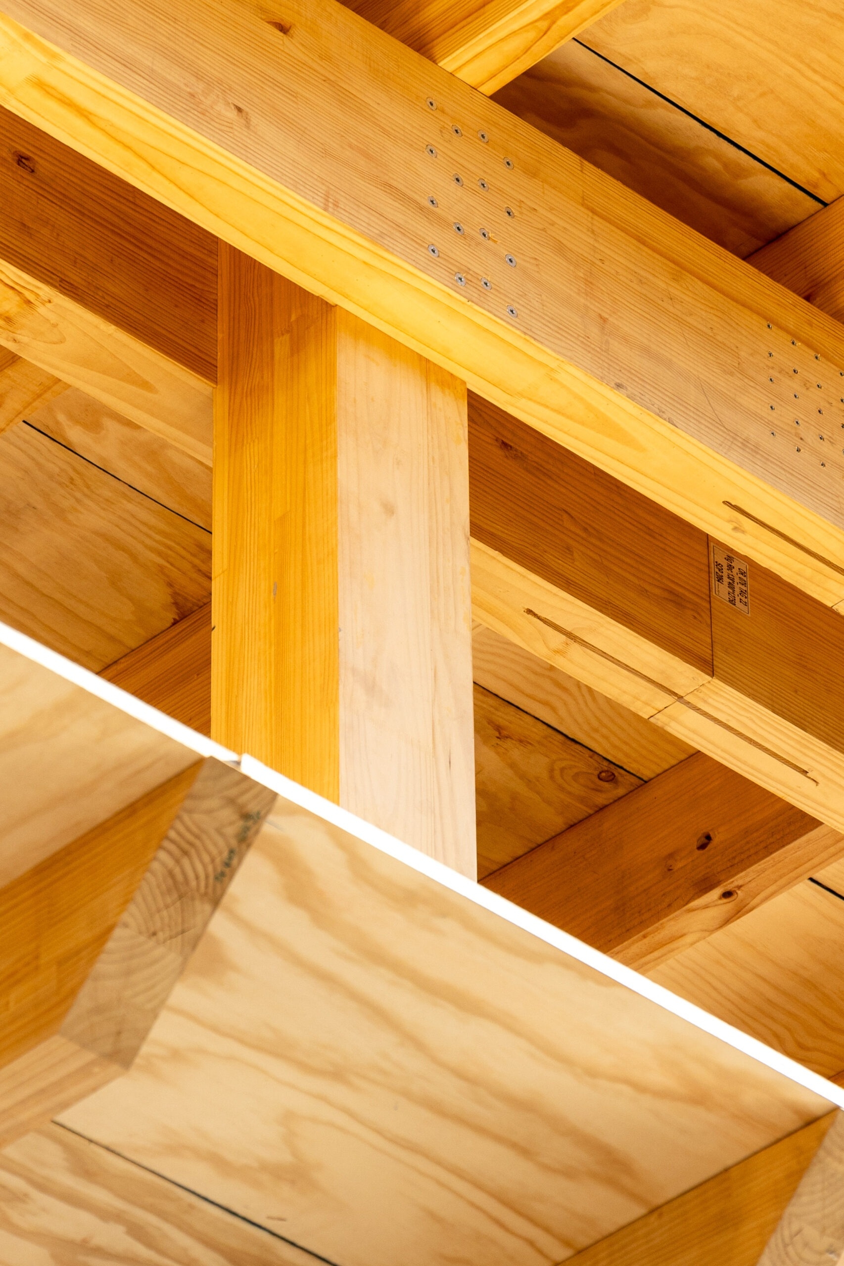 Madera CLT y MLE en Edificio Burgos Net Zero
