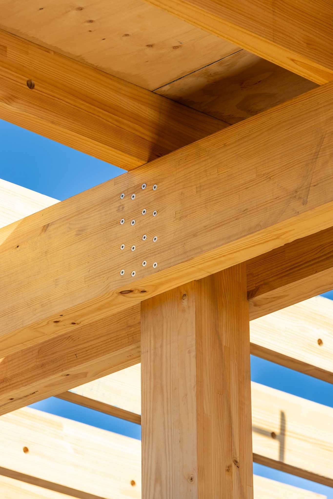 Madera CLT y MLE en Edificio Burgos Net Zero