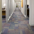 Carpetes modulares para Edifícios Governamentais