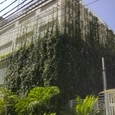 Telhado verde e Jardim vertical