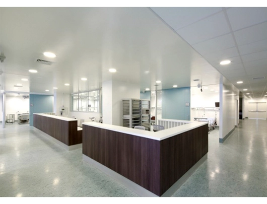 Hospital Clínico Metropolitano, La Florida.