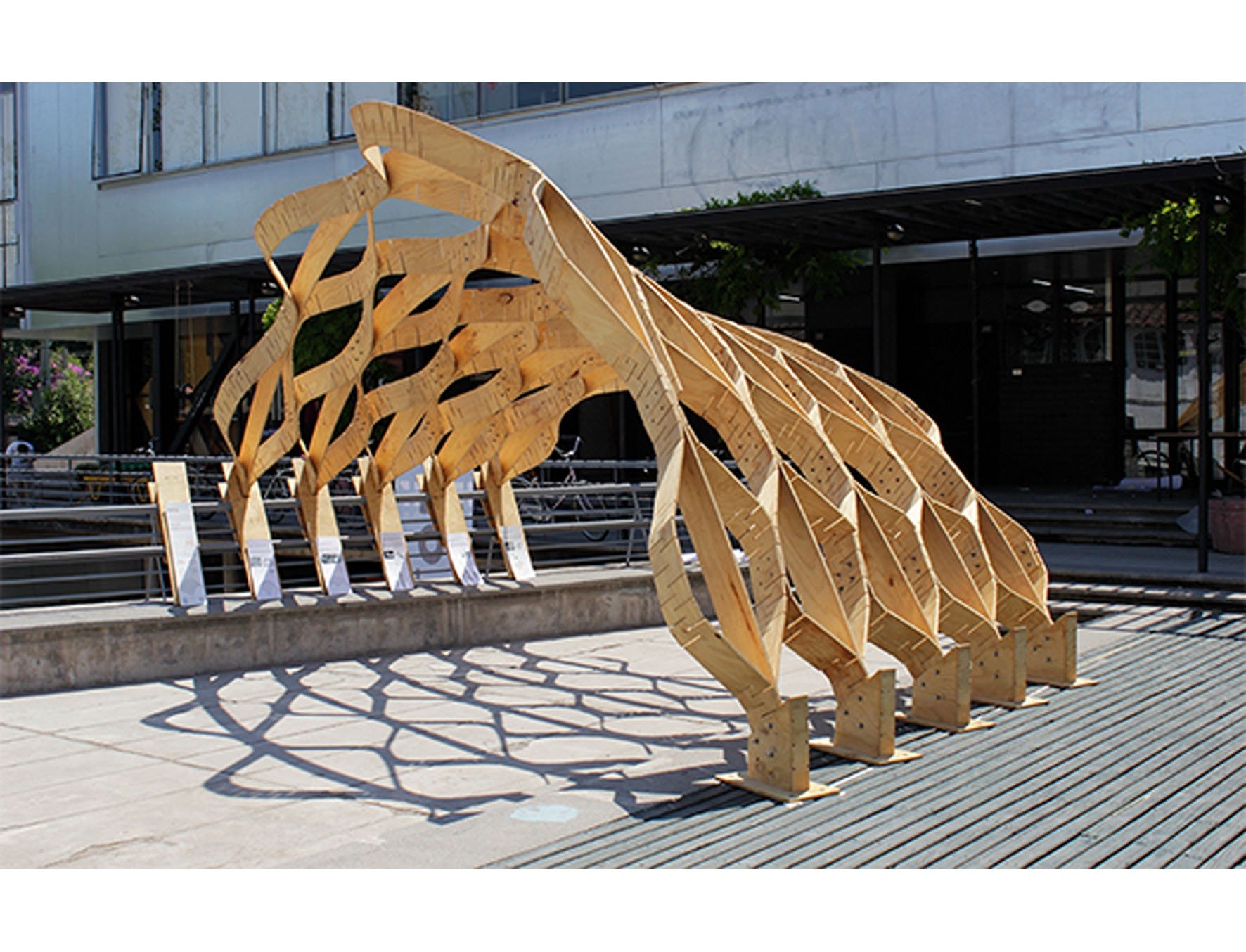 Pabellón Patrones Flexibles